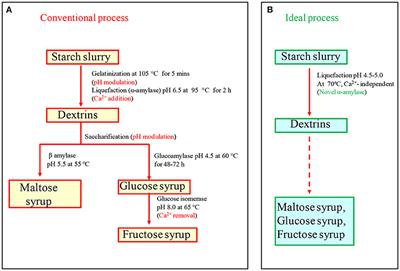 An Insight Into Ameliorating Production, Catalytic Efficiency, Thermostability and Starch Saccharification of Acid-Stable α-Amylases From Acidophiles